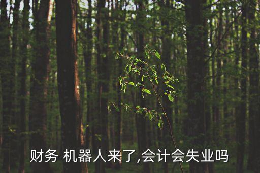 財務(wù) 機器人來了,會計會失業(yè)嗎