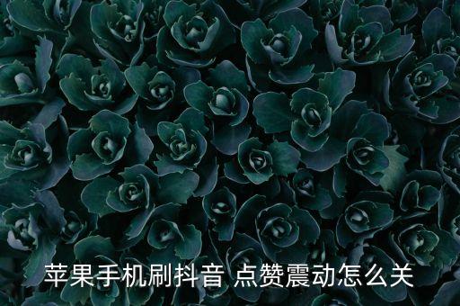 蘋果手機(jī)刷抖音 點(diǎn)贊震動(dòng)怎么關(guān)