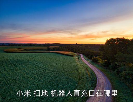  小米 掃地 機(jī)器人直充口在哪里