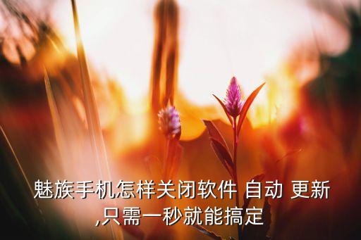  魅族手機(jī)怎樣關(guān)閉軟件 自動(dòng) 更新,只需一秒就能搞定