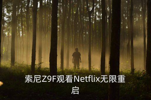 索尼Z9F觀看Netflix無限重啟
