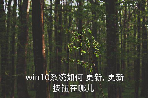 win10自動更新在哪兒,win10如何進(jìn)行自動更新?