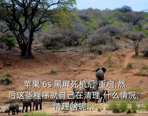  蘋果 6s 黑屏死機(jī)后 重啟,然后這些程序就自己在清理,什么情況,清理啥呢...