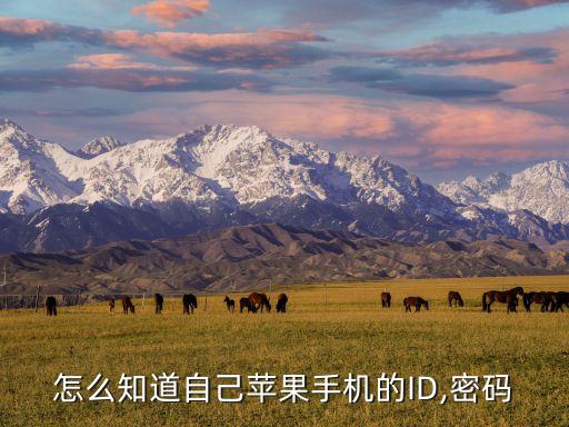 ios app id的獲取數(shù)據(jù)