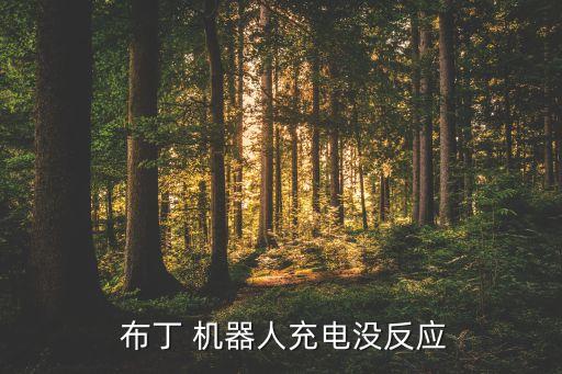  布丁 機(jī)器人充電沒反應(yīng)