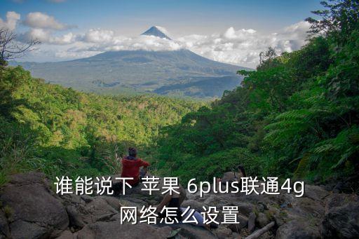 誰能說下 蘋果 6plus聯(lián)通4g網(wǎng)絡(luò)怎么設(shè)置