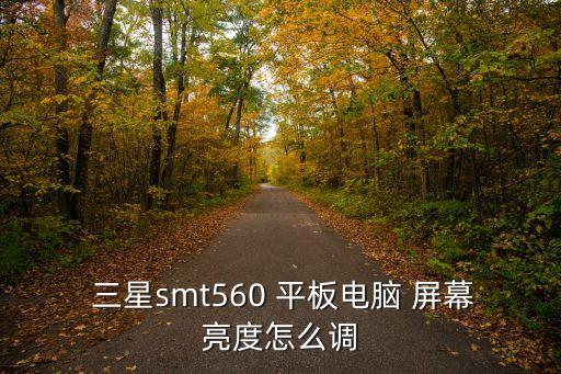 三星平板 自動(dòng)亮屏幕,如果通知欄沒亮度等級(jí)欄可調(diào)整屏幕亮度