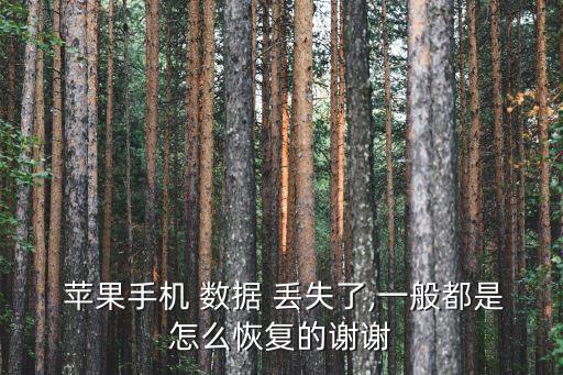 蘋果怎么刷新所有數(shù)據(jù)丟失