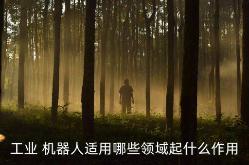 工業(yè) 機(jī)器人適用哪些領(lǐng)域起什么作用