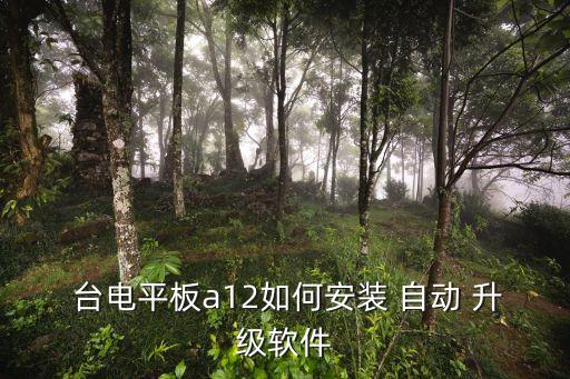  臺電平板a12如何安裝 自動 升級軟件
