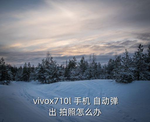  vivox710l 手機 自動彈出 拍照怎么辦
