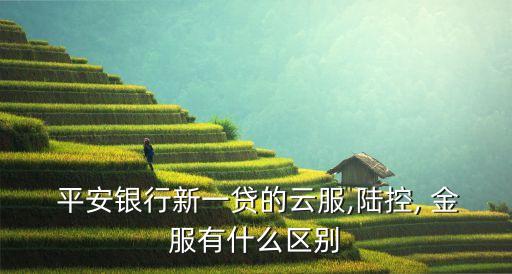  平安銀行新一貸的云服,陸控, 金服有什么區(qū)別