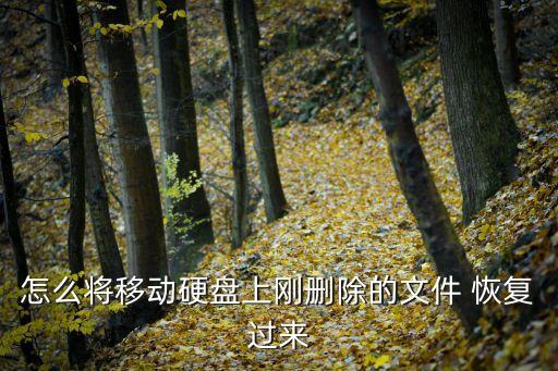 數據恢復軟件 俄羅斯