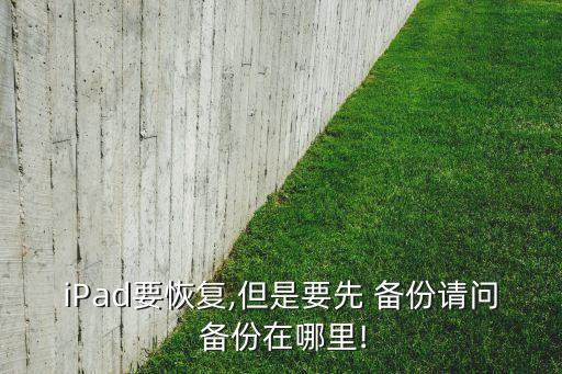 ipad備份數(shù)據(jù)是什么意思,蘋果手機備份數(shù)據(jù)是什么意思
