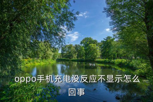  oppo手機充電沒反應(yīng)不顯示怎么回事