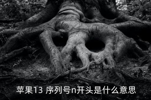 蘋果數(shù)據(jù)線序列號(hào)知識(shí),蘋果原裝數(shù)據(jù)線序列號(hào)查詢