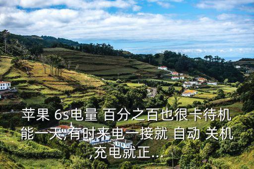 蘋果 6s電量 百分之百也很卡待機能一天,有時來電一接就 自動 關(guān)機,充電就正...