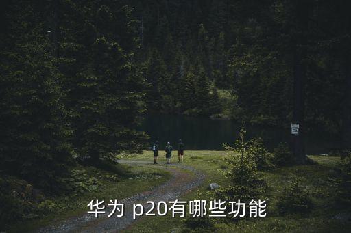  華為 p20有哪些功能
