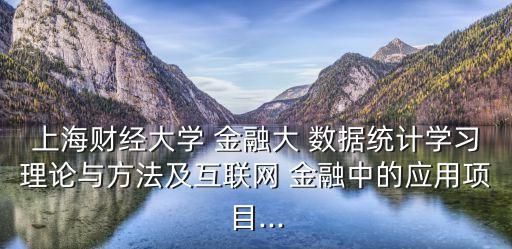 上海財(cái)經(jīng)大學(xué) 金融大 數(shù)據(jù)統(tǒng)計(jì)學(xué)習(xí)理論與方法及互聯(lián)網(wǎng) 金融中的應(yīng)用項(xiàng)目...