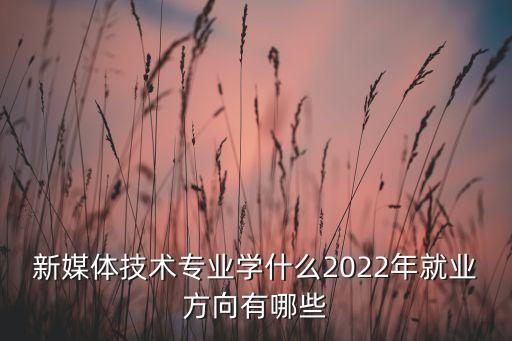 社交網(wǎng)絡(luò)數(shù)據(jù)庫,access能做網(wǎng)絡(luò)數(shù)據(jù)庫嗎