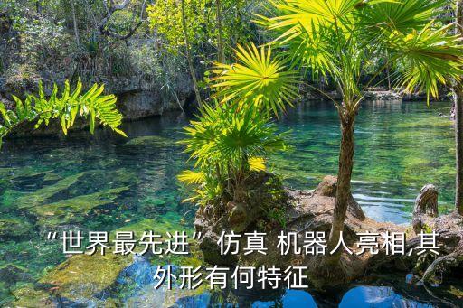 “世界最先進(jìn)”仿真 機(jī)器人亮相,其外形有何特征