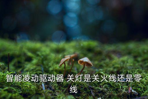 智能凌動(dòng)驅(qū)動(dòng)器 關(guān)燈是關(guān)火線還是零線