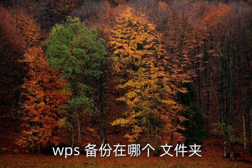  wps 備份在哪個(gè) 文件夾