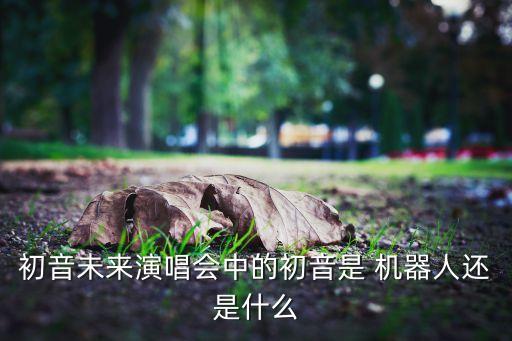 初音未來演唱會中的初音是 機(jī)器人還是什么