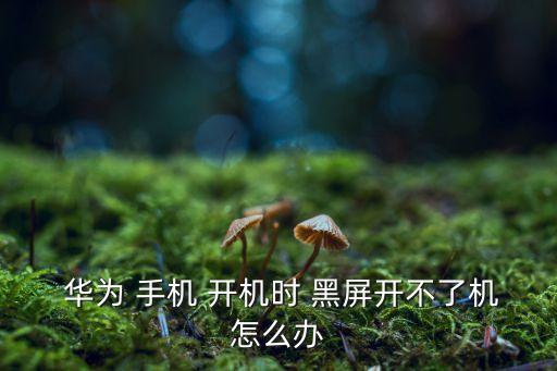 華為 手機(jī) 開機(jī)時(shí) 黑屏開不了機(jī)怎么辦