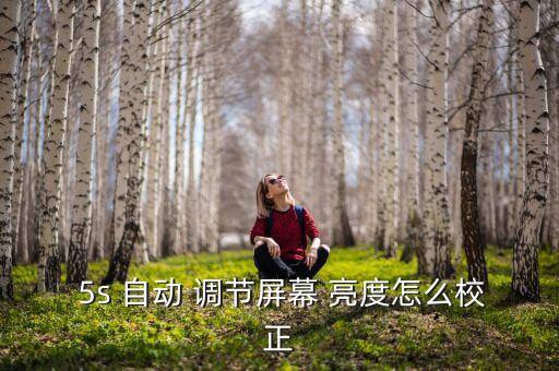蘋果5s沒有自動(dòng)亮度調(diào)節(jié),怎么用手機(jī)自動(dòng)亮度調(diào)節(jié)?