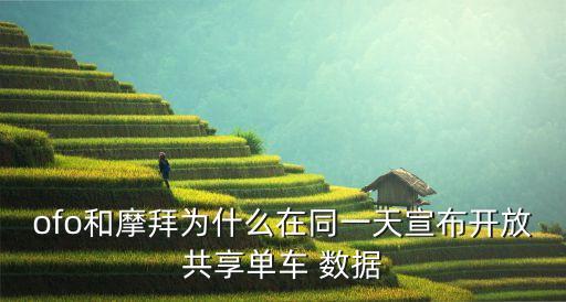 ofo和摩拜為什么在同一天宣布開放共享單車 數(shù)據(jù)