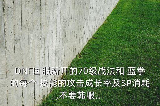 dnf藍(lán)拳技能數(shù)據(jù)