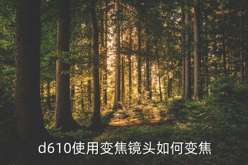  d610使用變焦鏡頭如何變焦