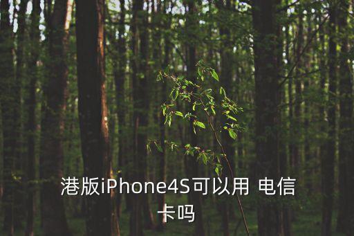 港版4s 電信蜂窩數(shù)據(jù)