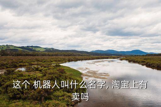 專業(yè)淘寶紙箱機(jī)器人,小學(xué)生用紙箱做機(jī)器人