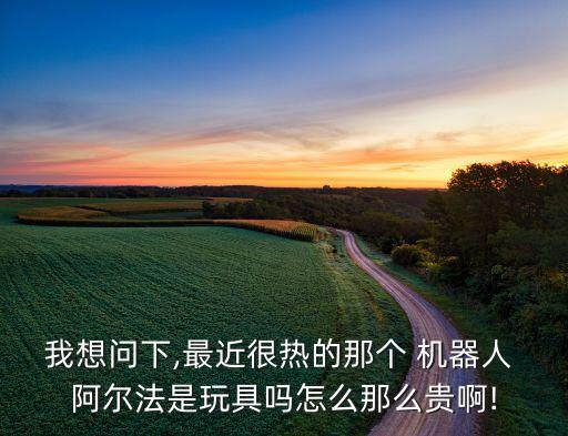 阿爾法機(jī)器人哪里產(chǎn)的