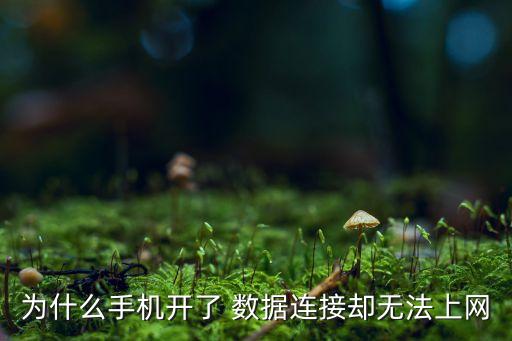 數(shù)據(jù)流量開了也沒網(wǎng)絡(luò)