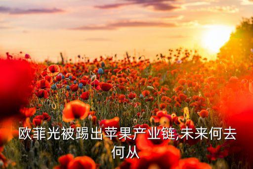  歐菲光被踢出蘋果產(chǎn)業(yè)鏈,未來何去何從