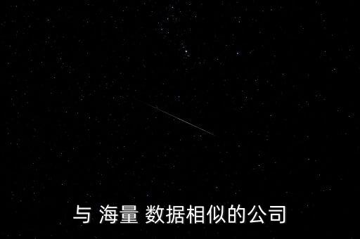 與 海量 數(shù)據(jù)相似的公司