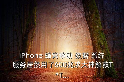 iPhone 蜂窩移動 數(shù)據 系統(tǒng) 服務居然用了600兆求大神解救T^T…