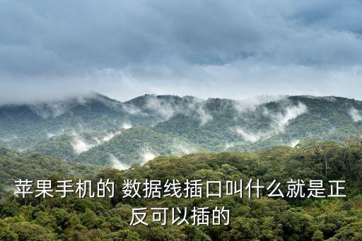 蘋果手機(jī)的 數(shù)據(jù)線插口叫什么就是正反可以插的