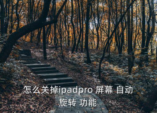 怎么關(guān)掉ipadpro 屏幕 自動(dòng)旋轉(zhuǎn) 功能