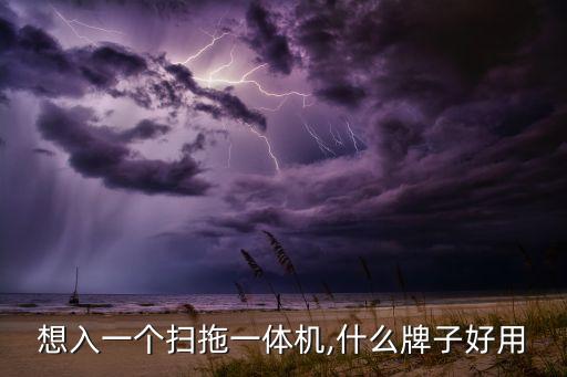 想入一個掃拖一體機(jī),什么牌子好用