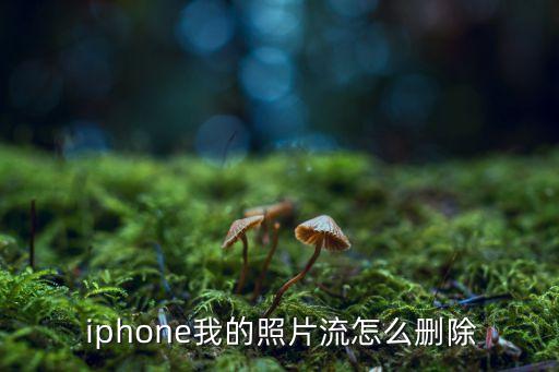  iphone我的照片流怎么刪除
