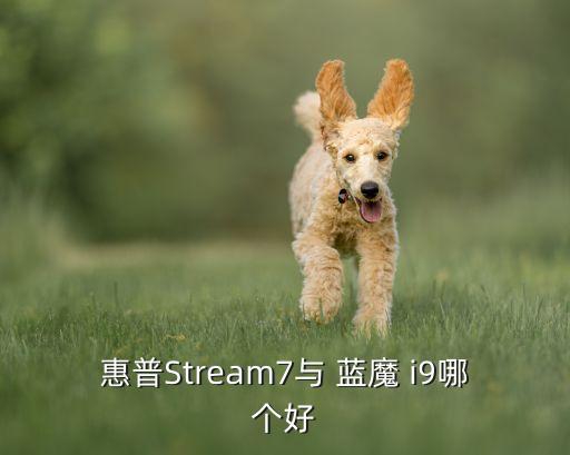 惠普Stream7與 藍(lán)魔 i9哪個(gè)好