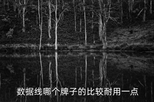  數(shù)據(jù)線哪個牌子的比較耐用一點