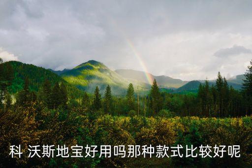 科 沃斯地寶好用嗎那種款式比較好呢