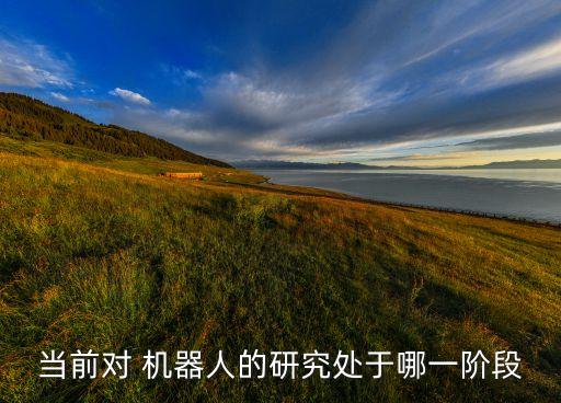 真正的機(jī)器人