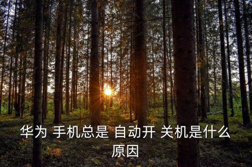 華為 手機(jī)總是 自動開 關(guān)機(jī)是什么原因