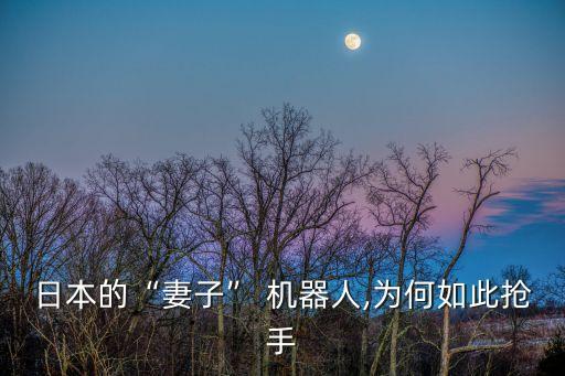 美女機器人性功能,現(xiàn)美女機器人有哪些功能